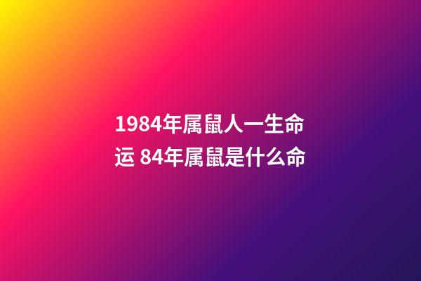 1984年属鼠人一生命运 84年属鼠是什么命